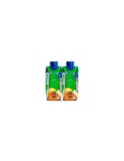 BIORALSUERO FRUTAS PACK BRICK 2X220ML