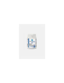 ERGYPHUILUS PLUS 60 CAPSULAS NUTERGIA