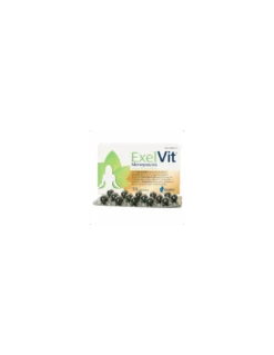 EXELVIT MENOPAUSIA 30 CAPSULAS