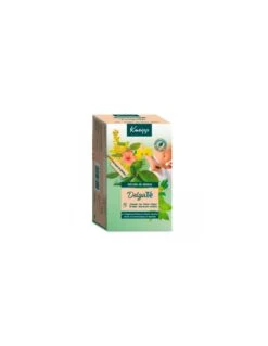 Hartmann KNEIPP ADELGAZANTE INFUSION 20 SOBRES