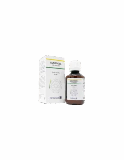 SOMINGEL RELAXIUM SOLUCION ORAL 1 ENVASE 50 ML